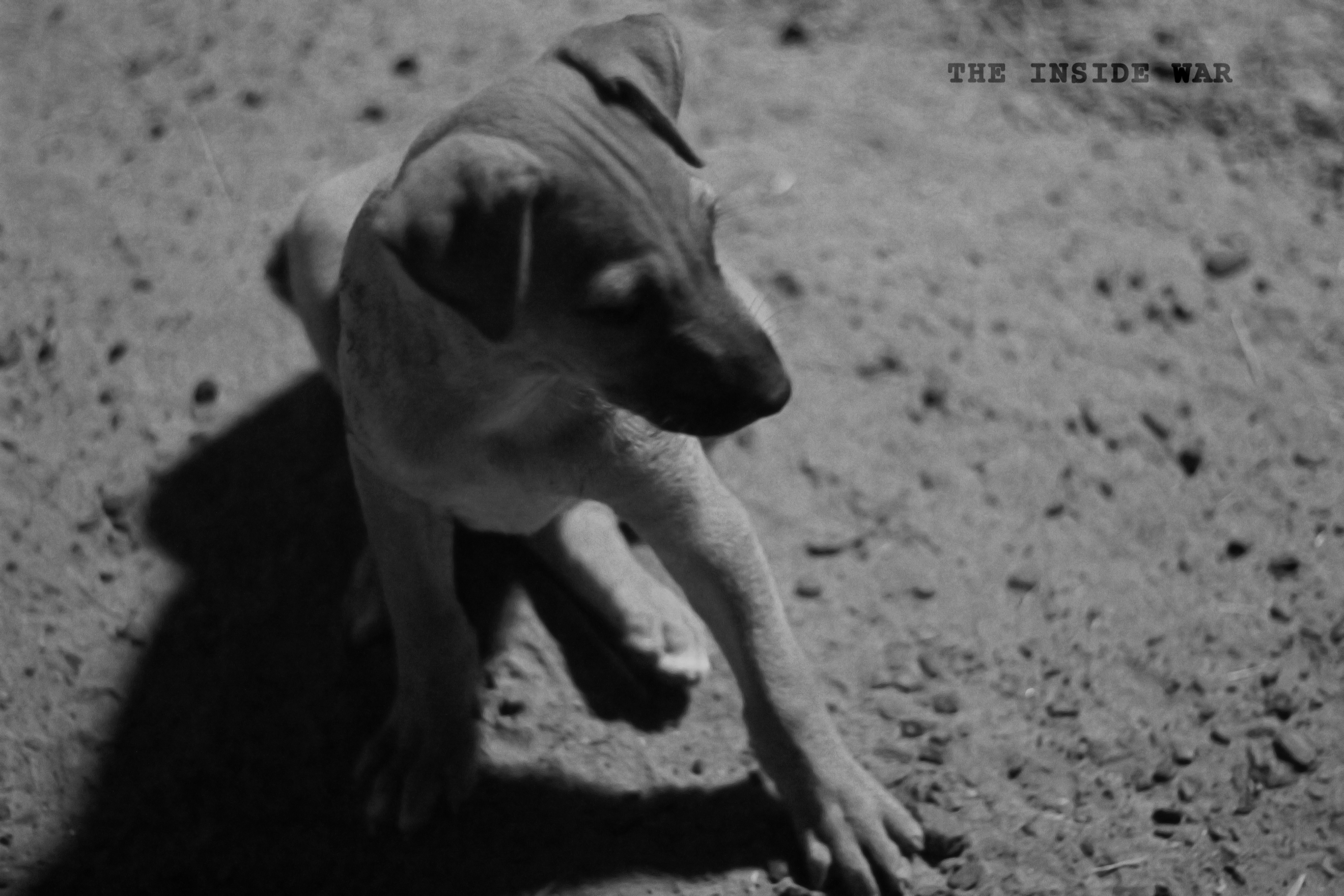 Unknown whereabouts.jpg